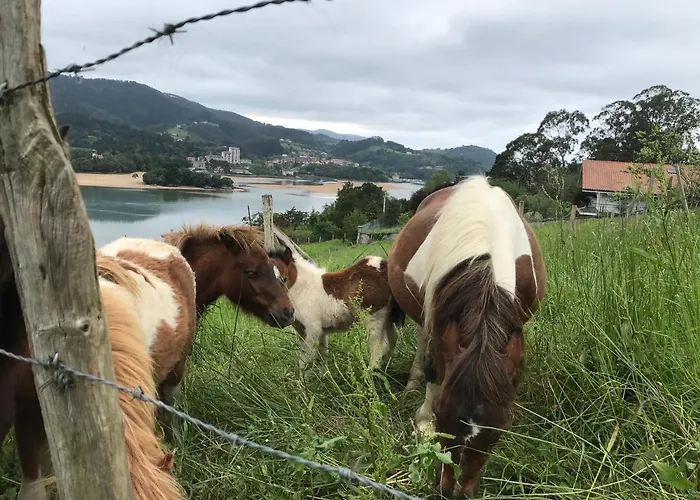 Hemingway Kanala Canala