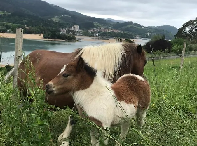 Hemingway Kanala * Canala