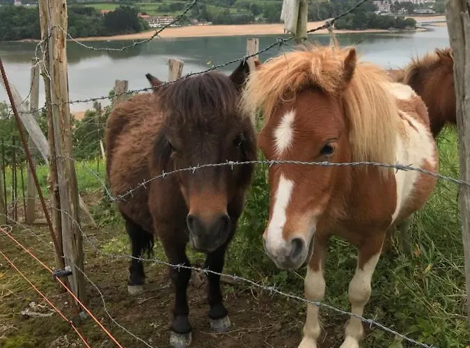 Casa rural Hemingway Kanala Canala